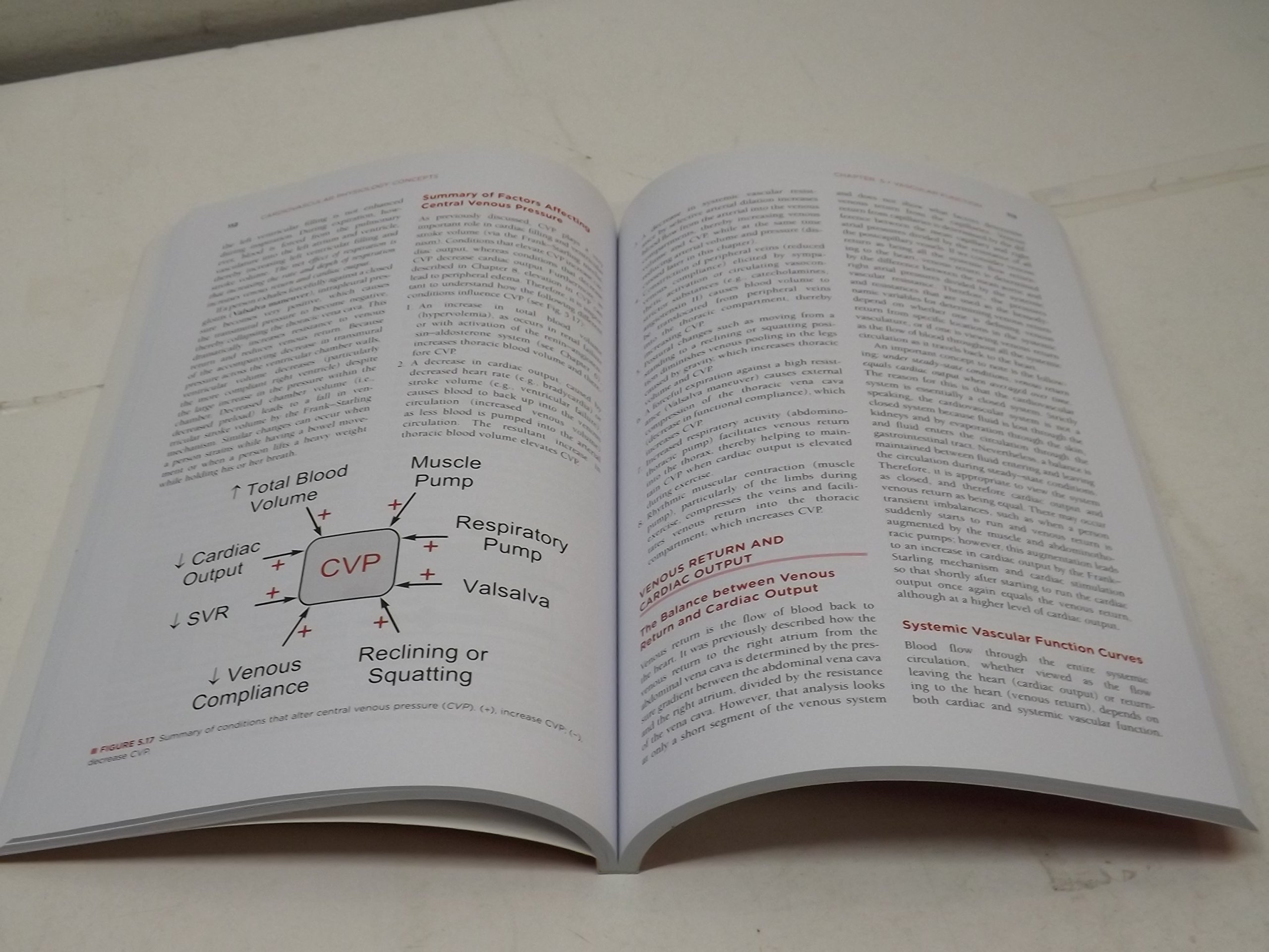 Cardiovascular Physiology Concepts - Image 5
