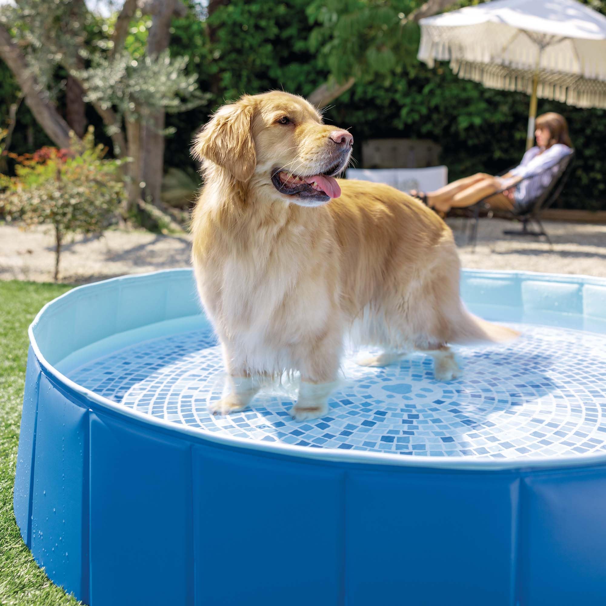 Intex - 48400NP - Faltbarer Pool mit Tiermotiven