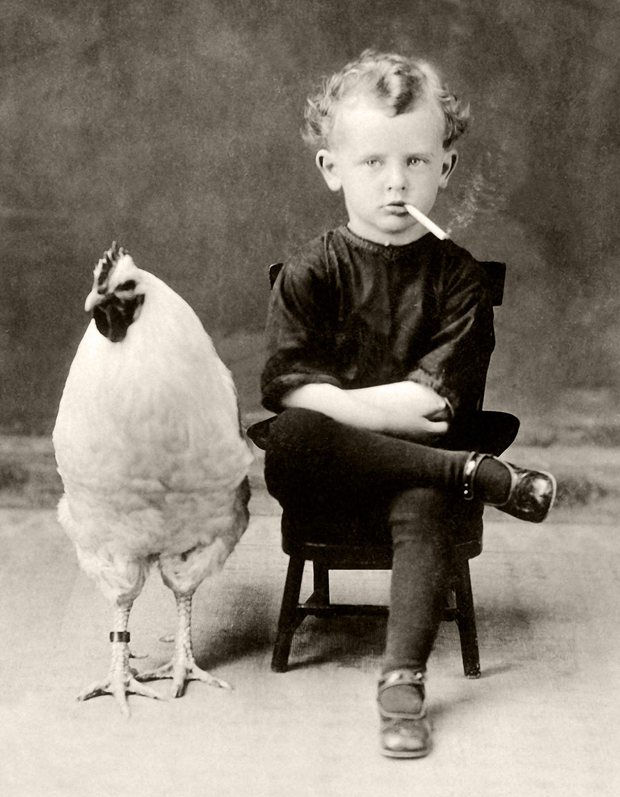 chicken with a cigarette Amazon.com: Make Em Laugh Bizarre Strange Weird Boy Smoking Cigarette with  Giant Chicken - Perfect Conversational Piece
