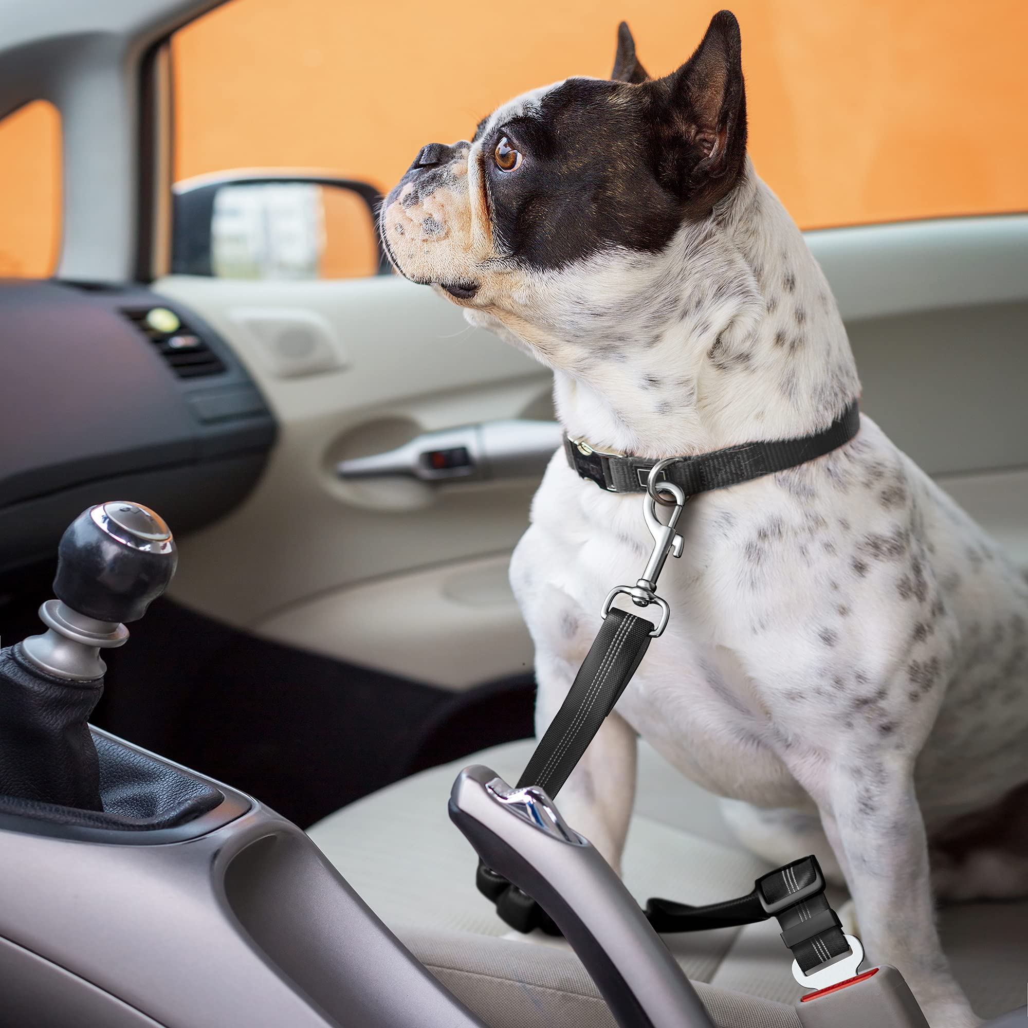 Dog Seat Belt for Car - Adjustable Dog Car Safety Harness (Black) - 5