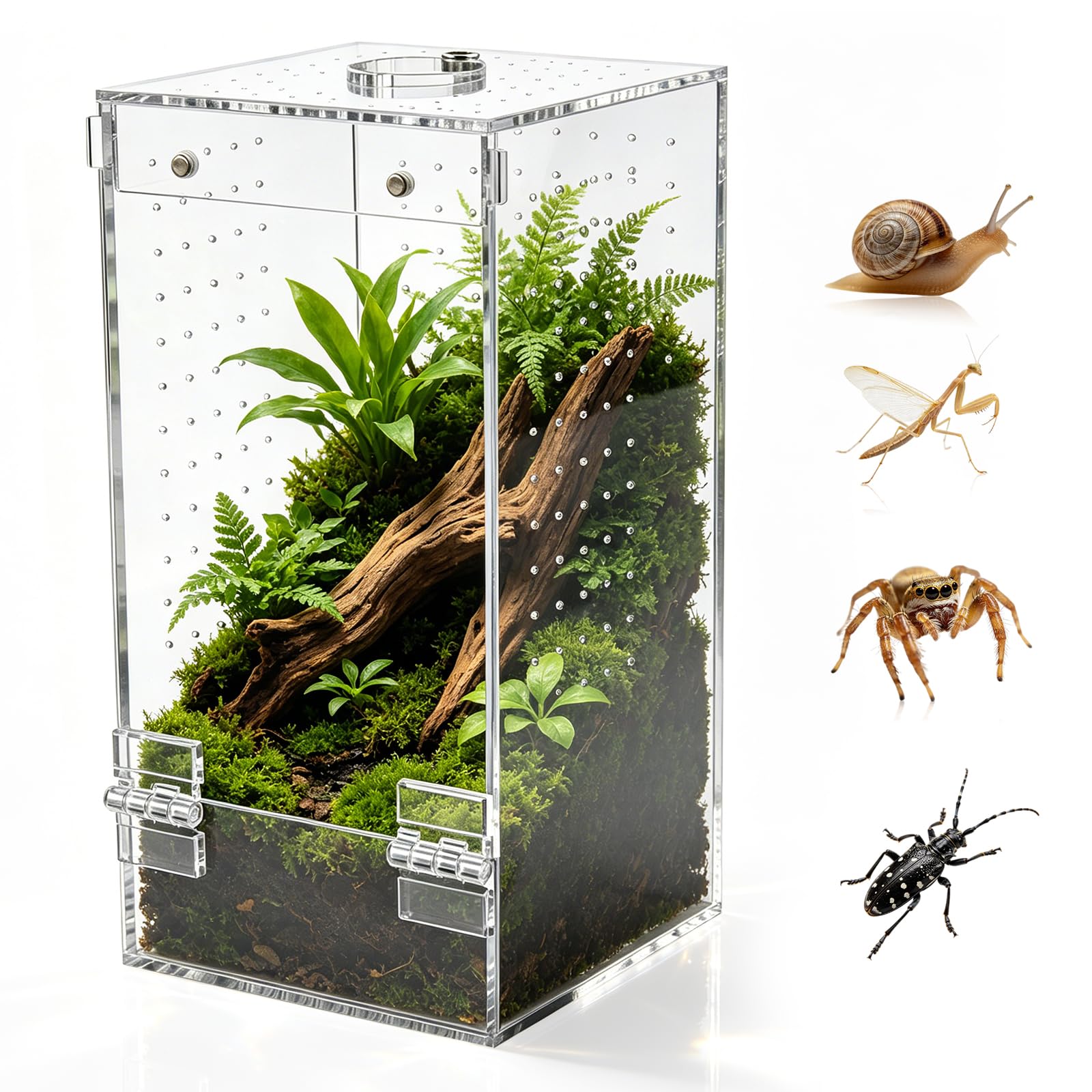 Homtone Akrylowe terrarium, terrarium owadów, terrarium ślimakowe z drzwiami magnetycznymi i otworem na karmę, odpowiednie dla pająków, ślimaków i owadów (10 x 10 x 20 cm)