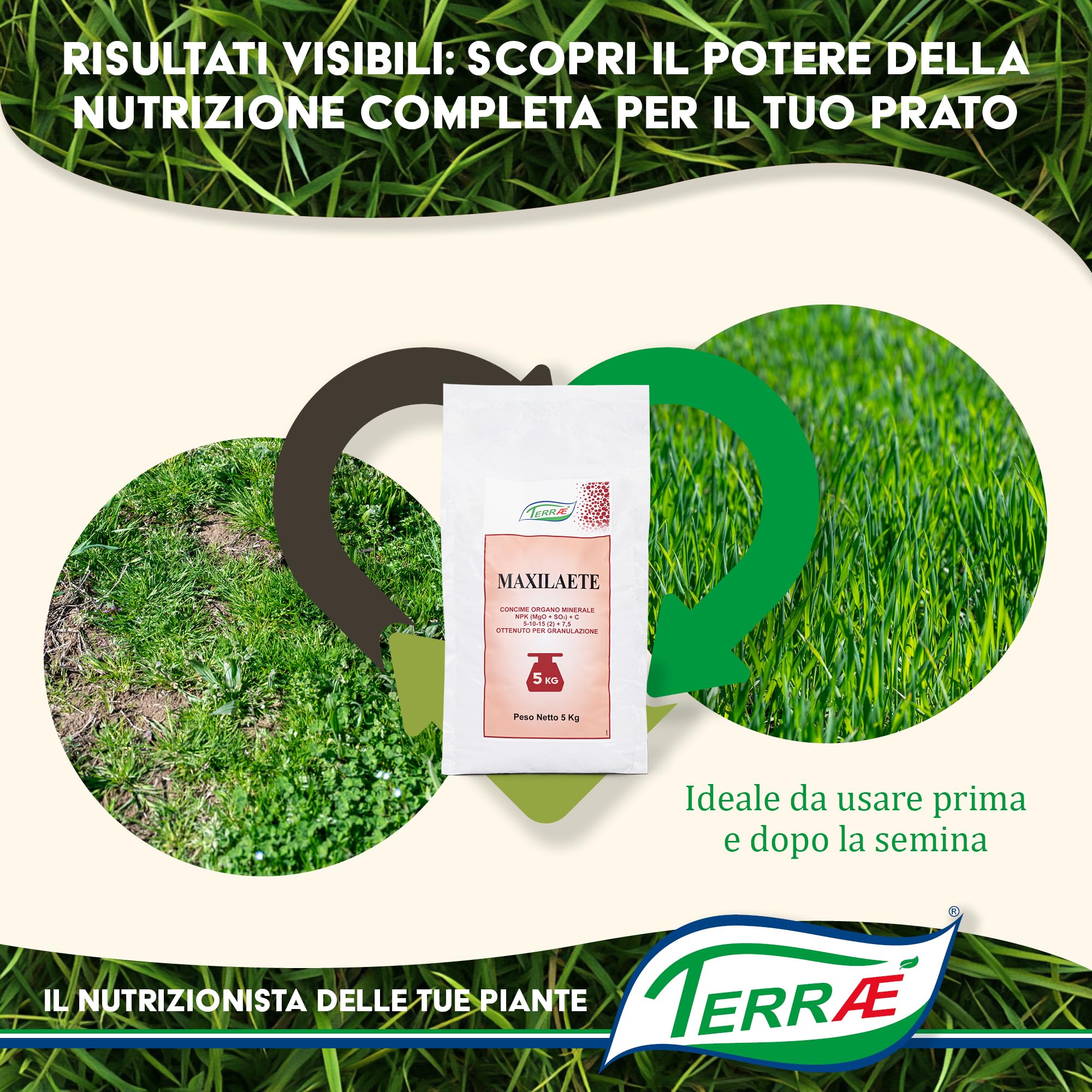Concime Prato Estate 5 KG - 165m² | Effetto Prato Inglese | Concime Granulare Lenta Cessione per Tappeto Verde Rigoglioso | Fertilizzante Prato Erboso con Antimuschio per Erba Sana | NPK