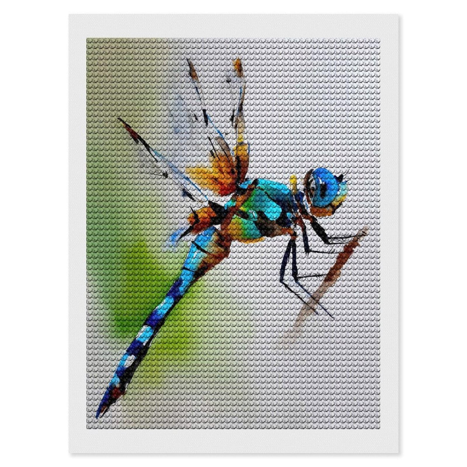 Junmoney Watercolor Dragonfly on Branch DIY Diamond Art Canvas Kit 12"x16", Farmhouse Decor, Vintage Style Decor, Handmade Wall Decor, Canvas Picture
