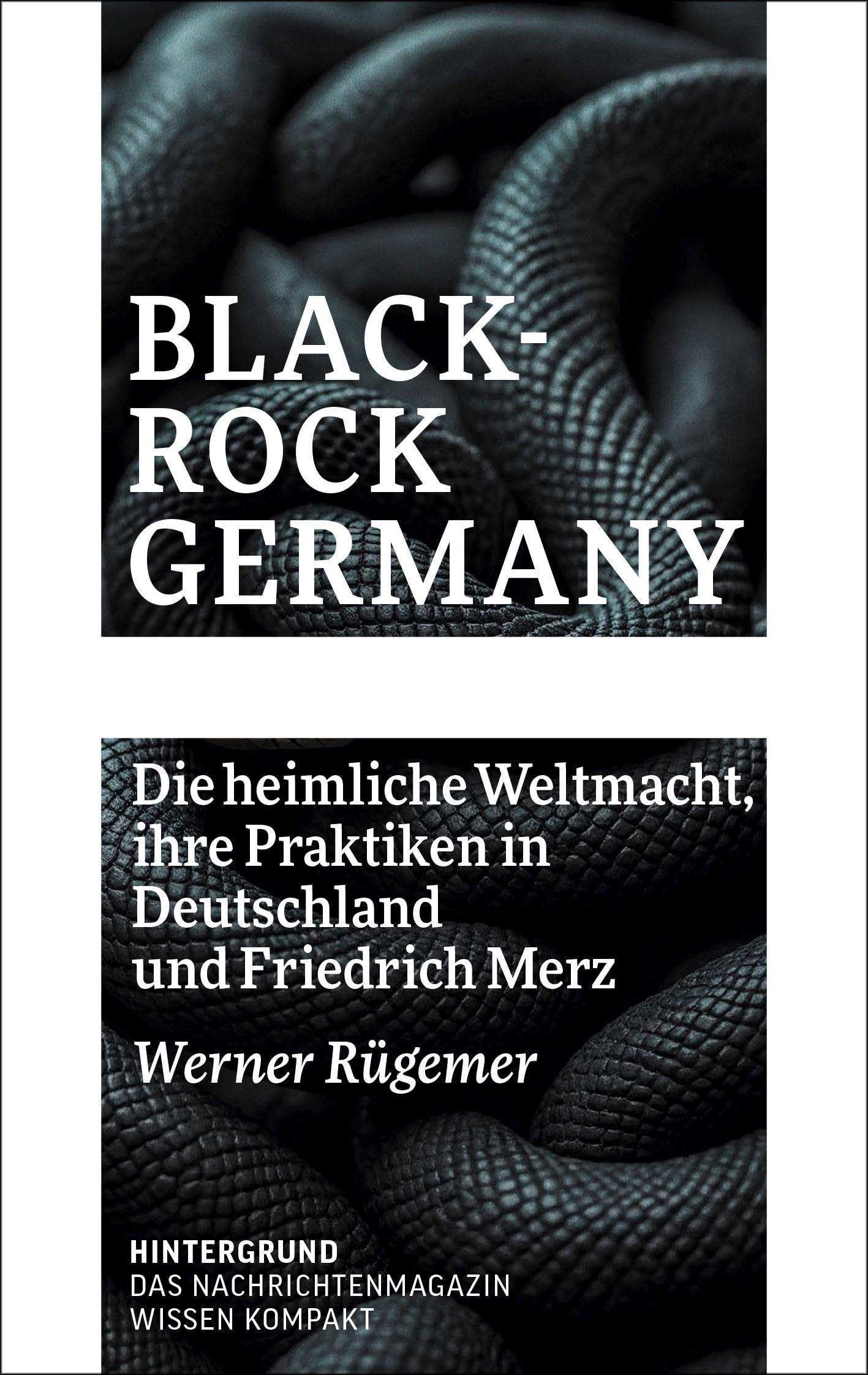 BlackRock Germany: Die heimliche Weltmacht, ihre Praktiken in Deutschland und Friedrich Merz