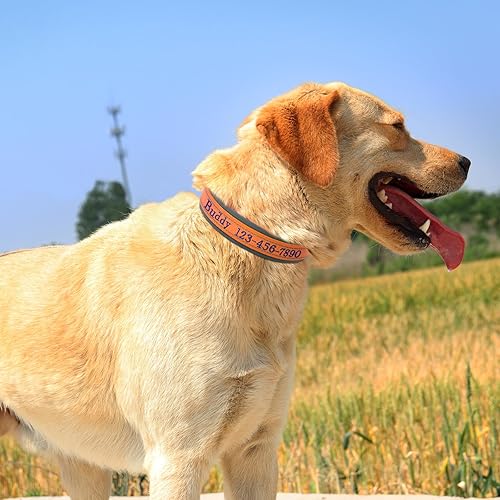 Miniatura 3 de Collar de perro personalizado de nailon con nombre y teléfono bordados, tira reflectante, forro de neopreno suave, hebilla de metal duradera, correa