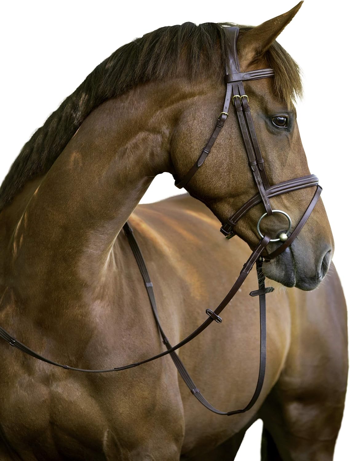 KERBL Classic Bridle