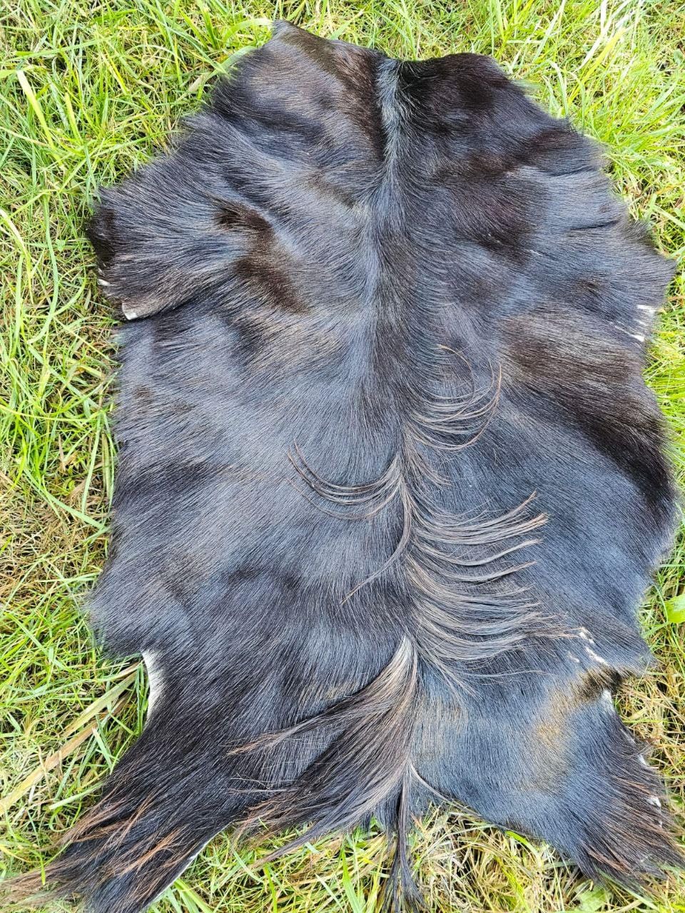 Ziegenfelle Ziegenfell Fell kein Geruch TOP Gerbung Natur SCHNÄPPCHEN (Dunkel Stückpreis, 70-90cm)