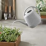 Fasmov Plastic Watering Can, 1-Gallon