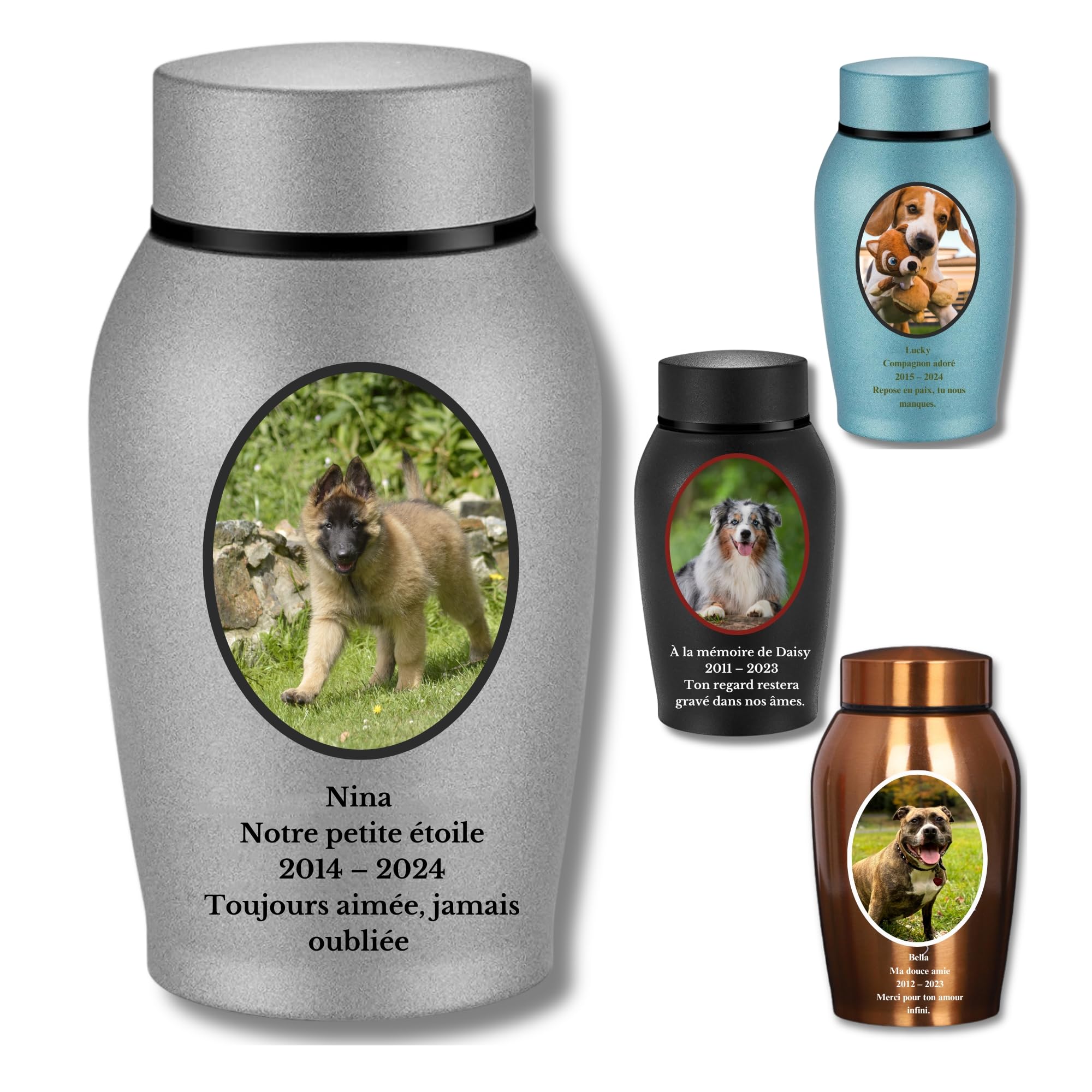 Urnes pour Cendres de Chien personnalisées, Urnes pour Animaux de Compagnie, Urnes de crémation pour Chien en Acier Inoxydable (Argent)