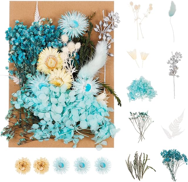 Pinenuts Real Dried Pressed Flowers, 1 Box Mixed Multiple Natural Flowers Leaves, Floral Art Craft for DIY Resin Pendant, Candle Making, Nail Jewelry Crafts and Home Decorations