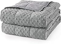Mr. Sandman 15 lbs Queen Weighted Blanket Adults - Cooling Minky Fabric, Glass Beads, Washable 60x80 Grey