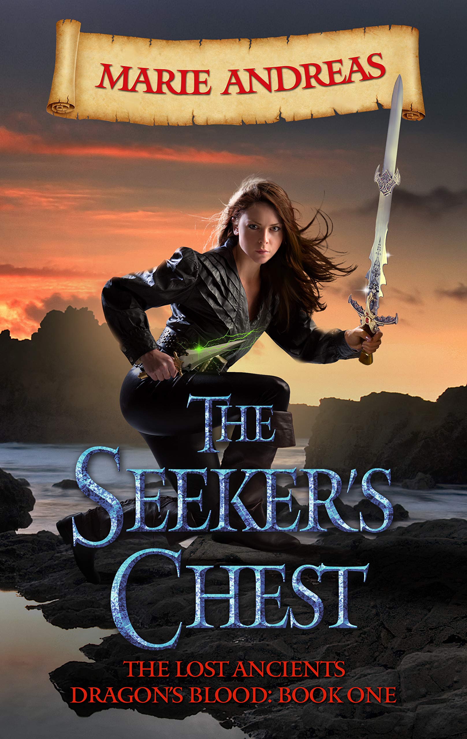 Cover of The Seeker's Chest
