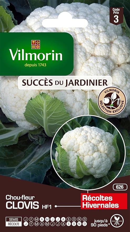 chou rencontre unique