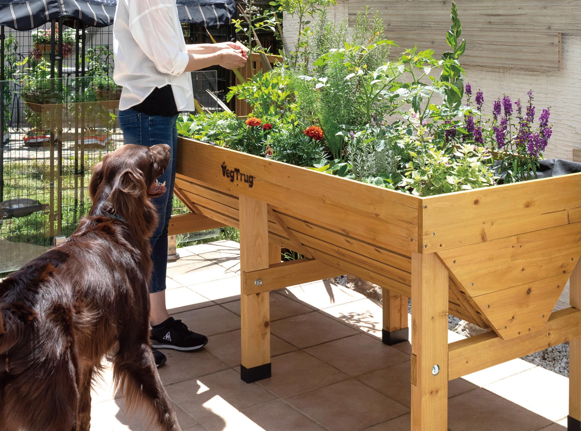 VegTrug Hochbeet Classic 1,8 m - Natural - 183 x 76 x 80 cm - ergonomisch | Pflanzkasten aus 100% FSC-Zedernholz - wetterfest für Balkon, Terrasse & Garten - platzsparendes Pflanzbeet mit Vlieseinlage