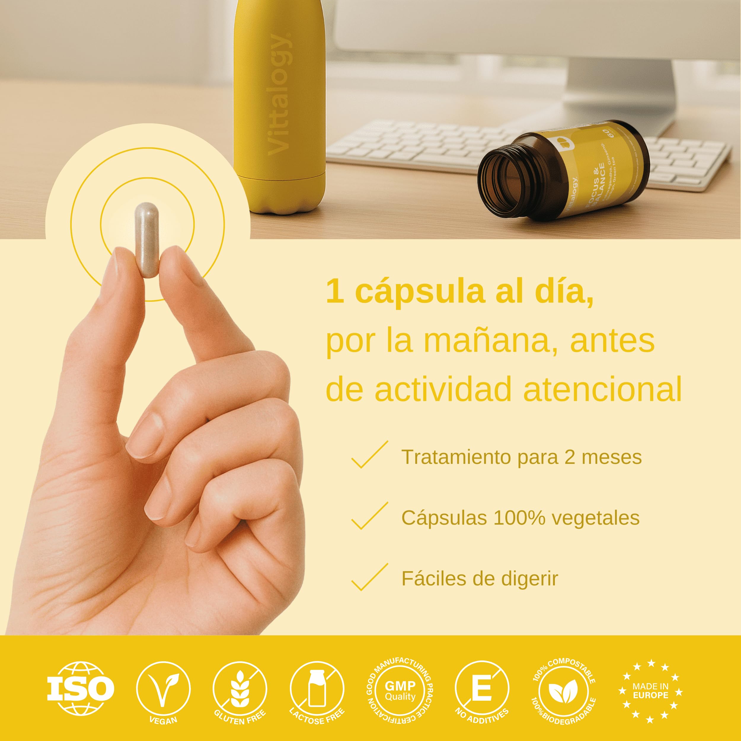 Focus & Balance Complemento Alimenticio Nootrópico con Ashwagandha Sensoril® para Memoria y Concentración. Suplemento de Té Verde, Ginseng y Vitaminas B3, B5 y B1 para Estudiar. 180 Cápsulas
