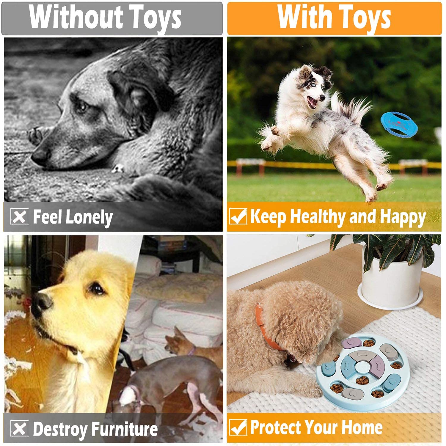 https://m.media-amazon.com/images/I/81GScSZrj6L.jpg