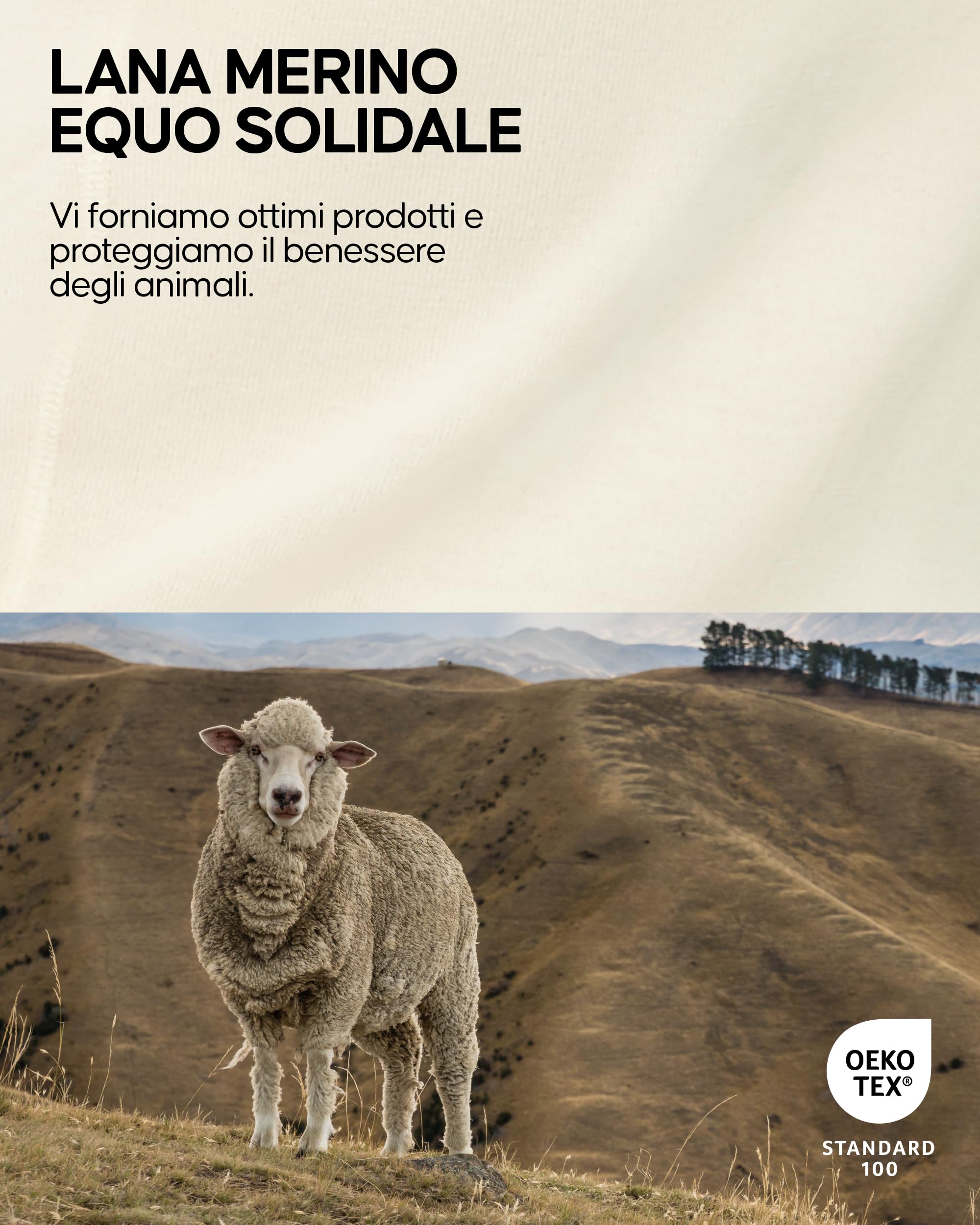 DANISH ENDURANCE Maglia Termica Donna in Lana Merino, Manica Lunga, per Sci, Trekking, Escursionismo