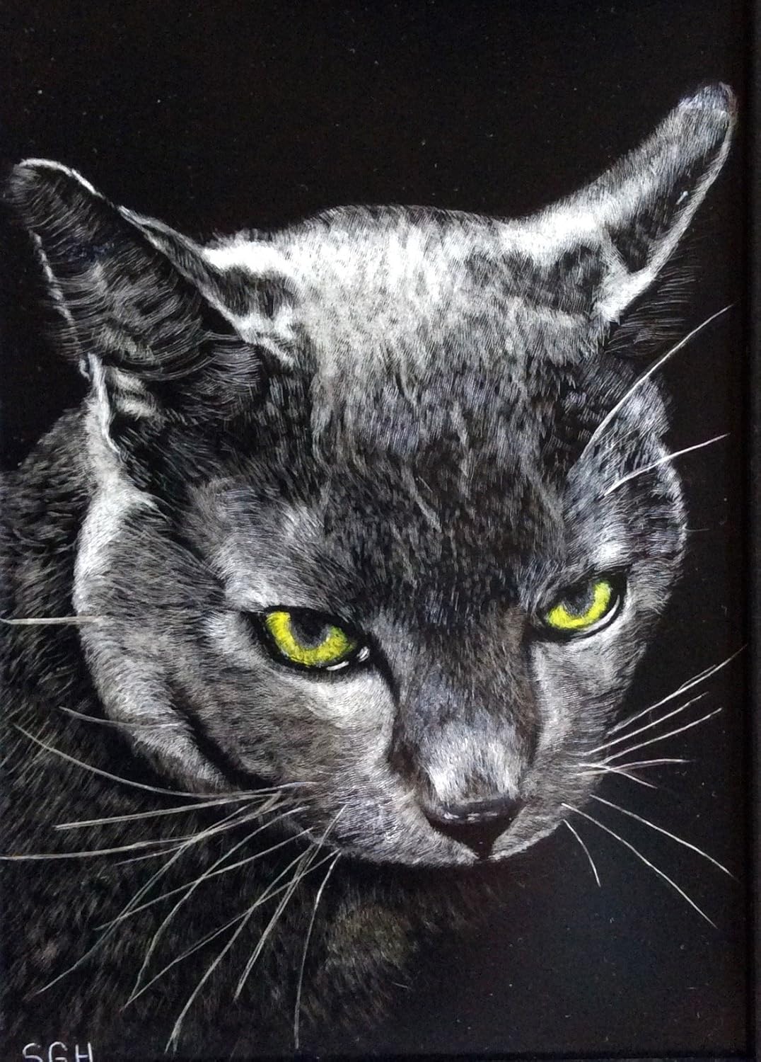 Midnight 5 x 7 scratchboard portrait Handmade Products