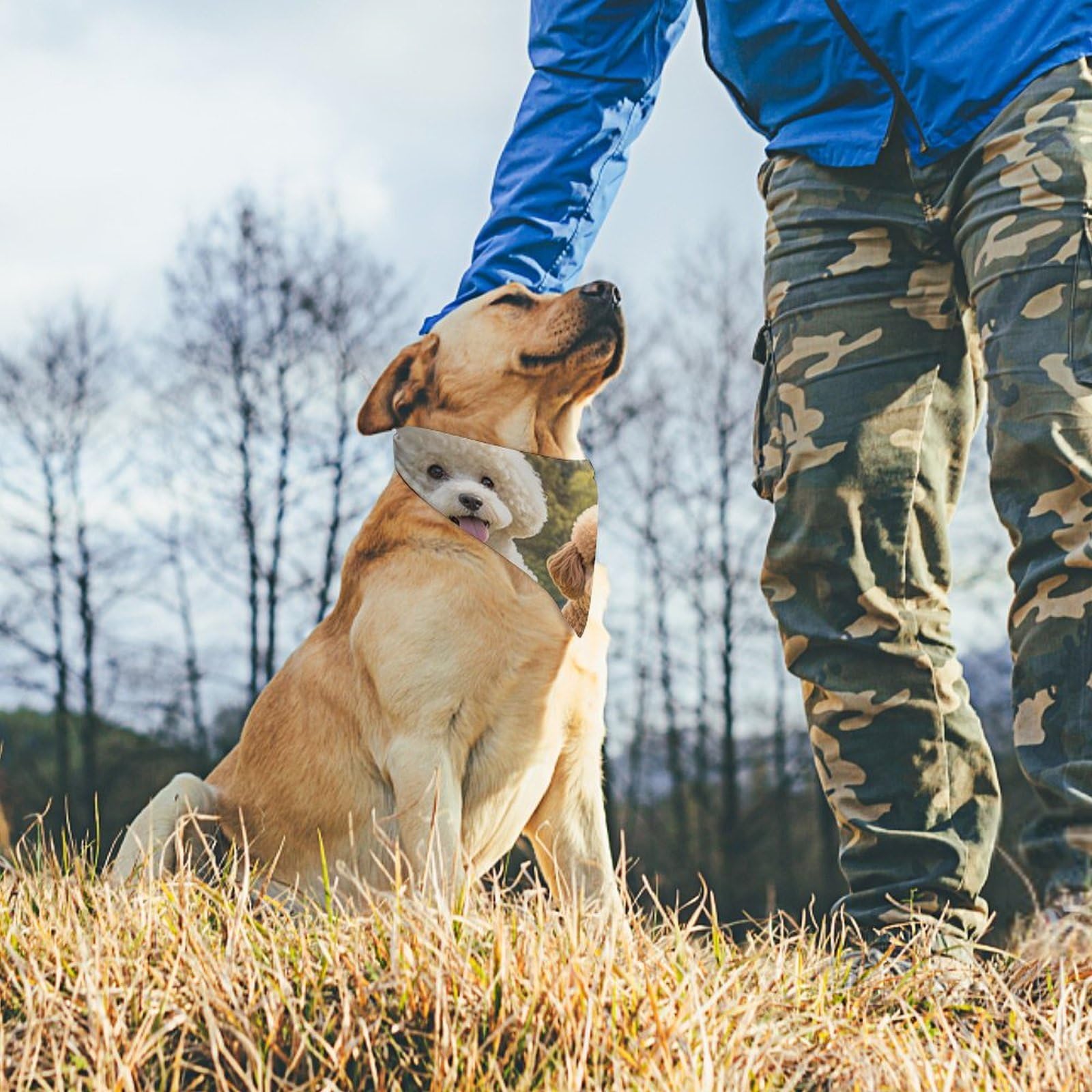 Barboncini DogsPet Sciarpa Bandana per cani taglia piccola media grande triangolo tessuto alta qualità