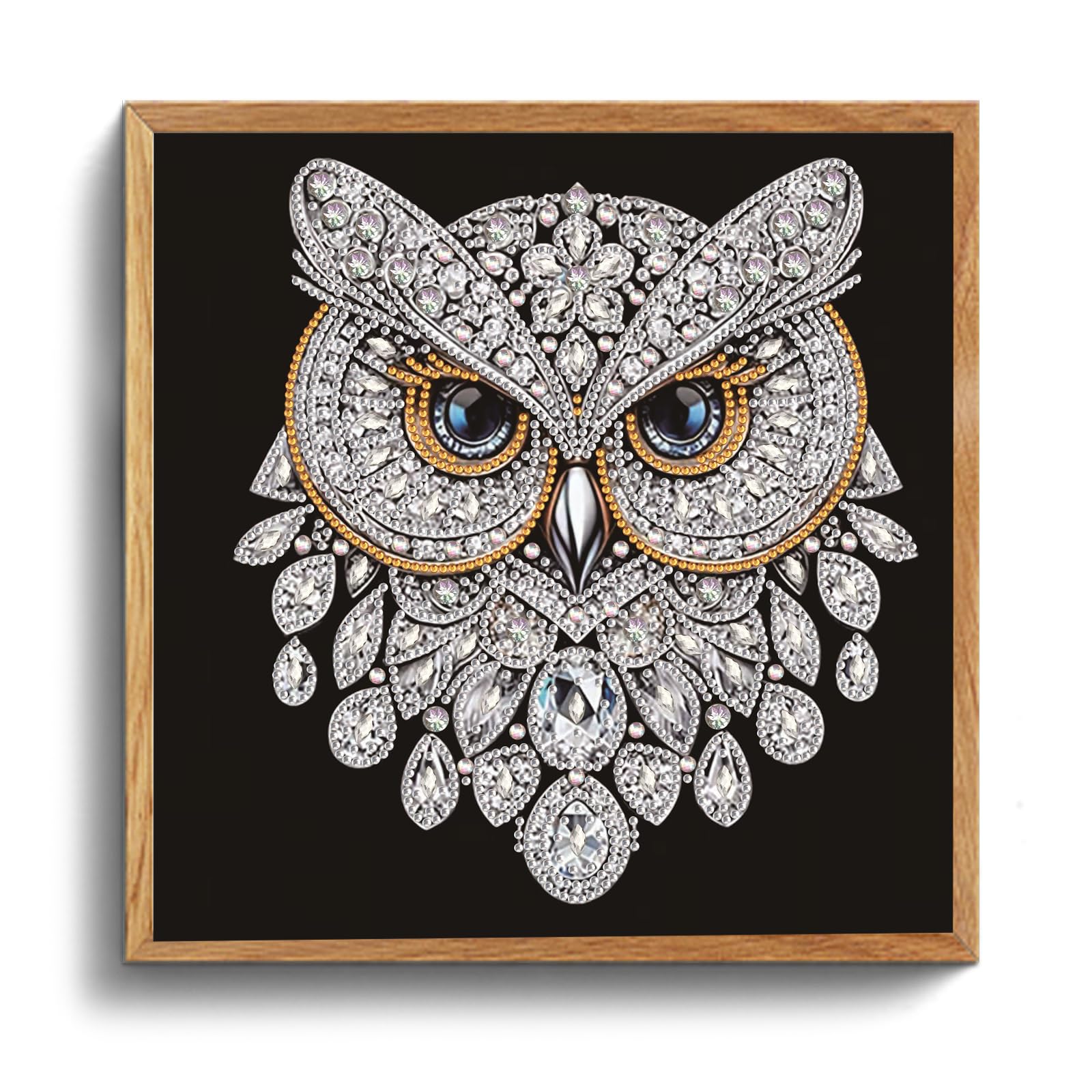 POETRYDRAW Crystal Ornate Owl Head Special Shaped 5D DIY Partial Drill Diamond Art Painting Kits for Adults Beginners Home Decor Diamond Art Gem Art Kits 11.81 X11.81inch (Crystal Ornate Owl Head)