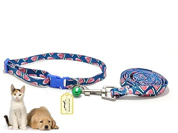 Pets Empire Puppy Cat Collar and Leash Set Nylon Adjustable Small Cat Collars Lead for Puppy and Cat Leash Collar Set ( Design -B )