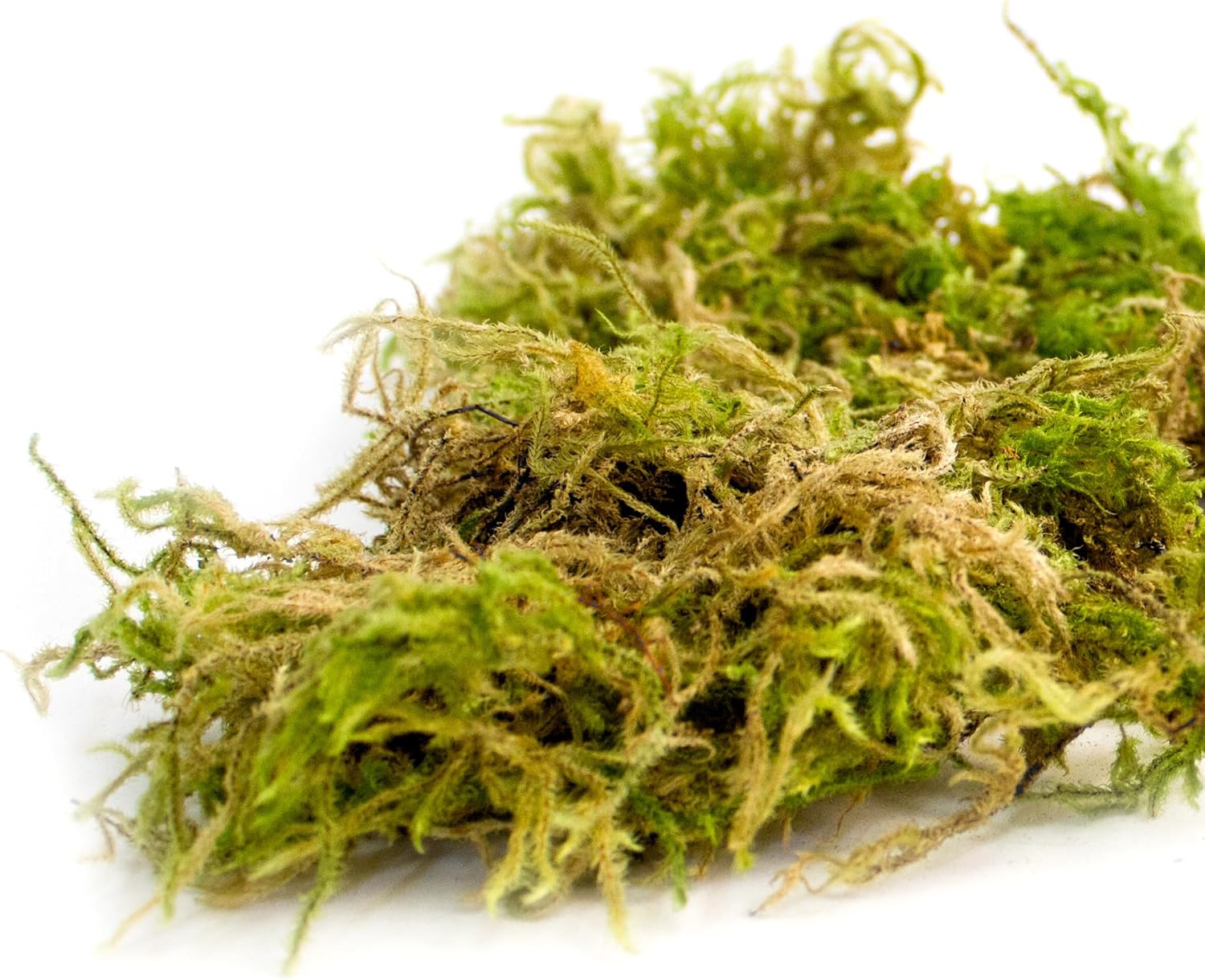 SuperMoss 7 59834 21706 0 Moss, Appx. 25 lb Bale, Natural Dried