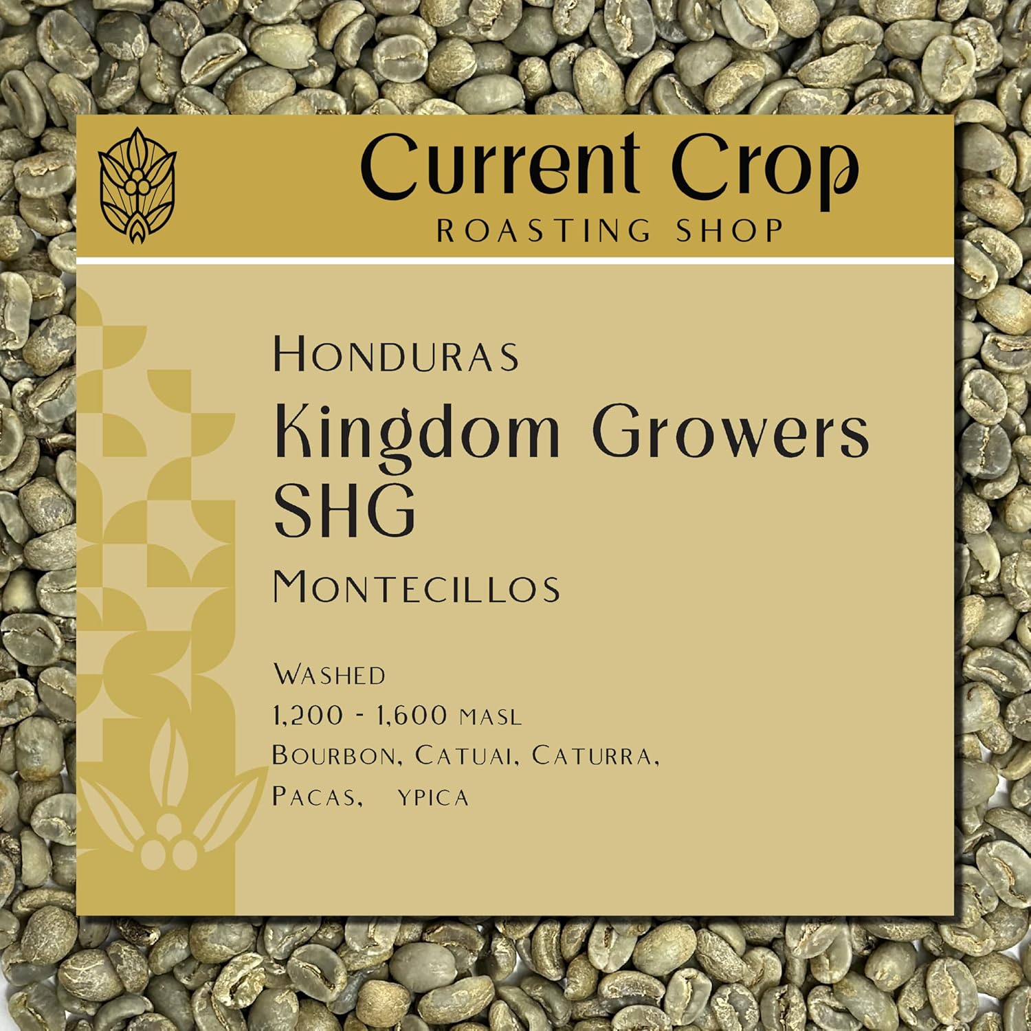 Honduras Montecillos Coffee Beans – High-Altitude Specialty Coffee, Hand-Picked, Perfect for French Press, Cold Brew, & Roasting – 100% Arabica, 3-Pound Bag