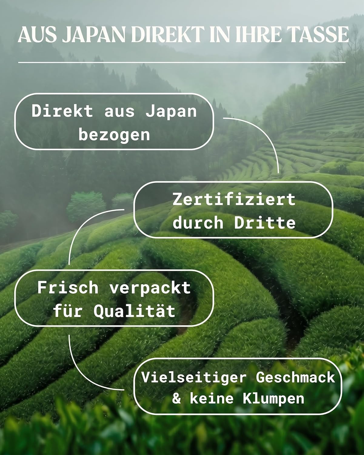 Vue 3