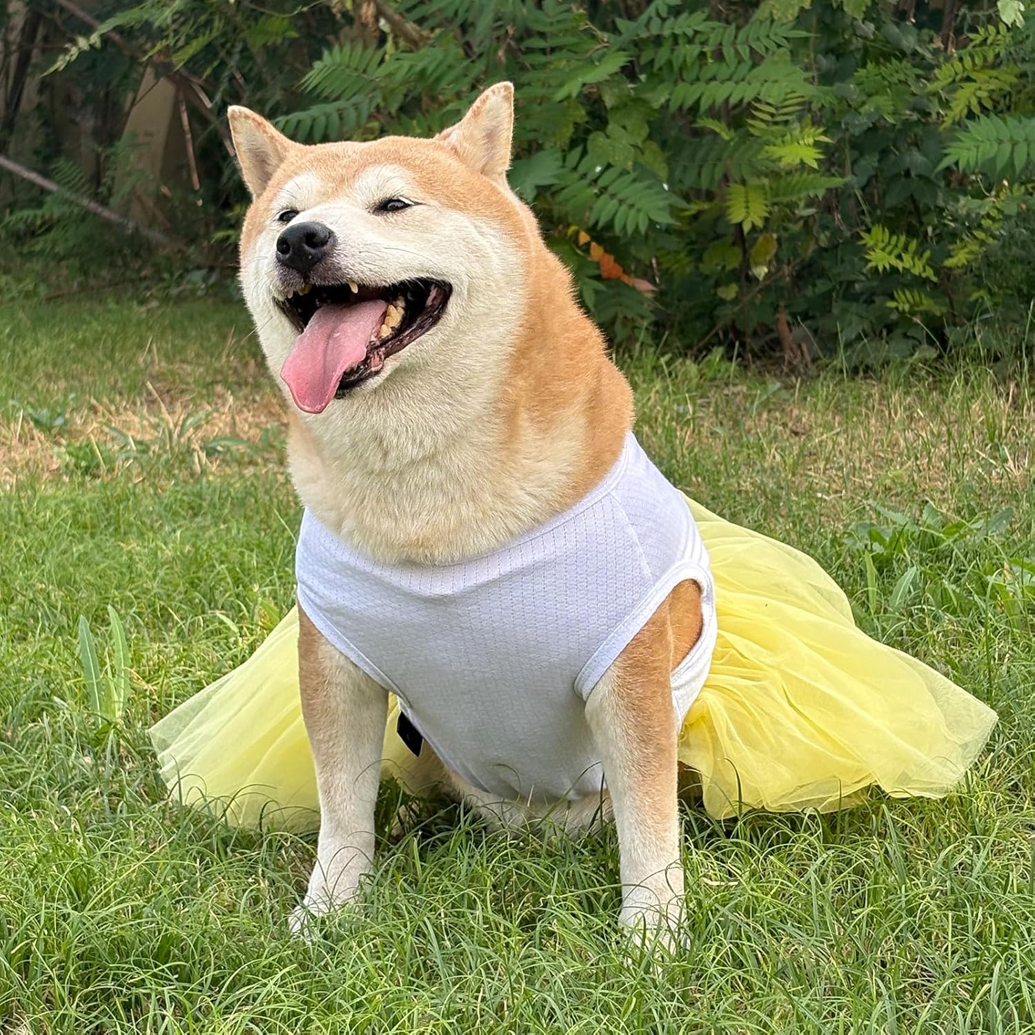 Dog Princess Dresses for Large Dogs Girls Sleeveless Pullover Wedding Birthday Tutu Dress with Butterfly Embroidered Summer Breathable Big Breed Female Dog Clothes(Yellow,4XL)