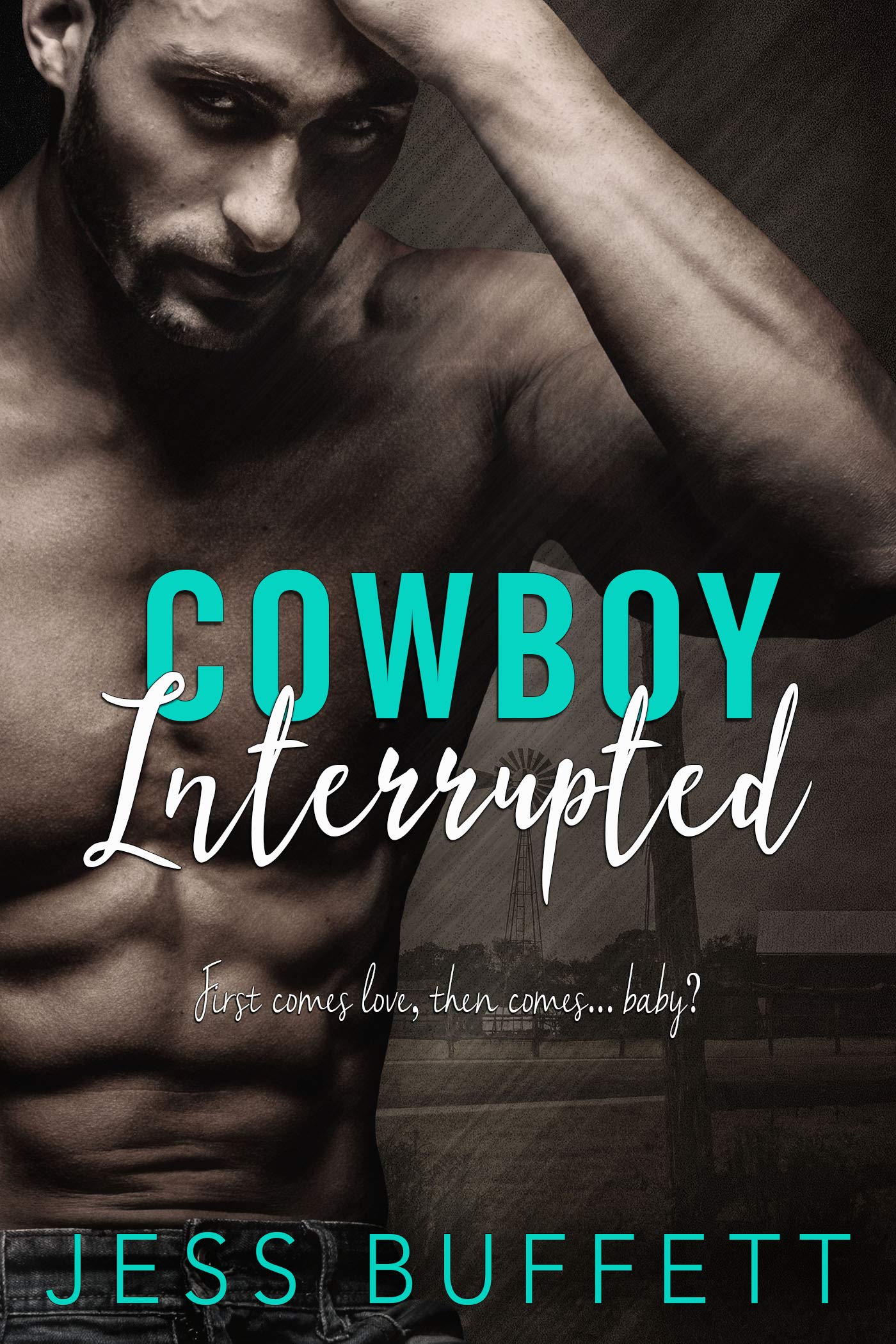 Cowboy Interrupted (Silver Stone Ranch Book 1)