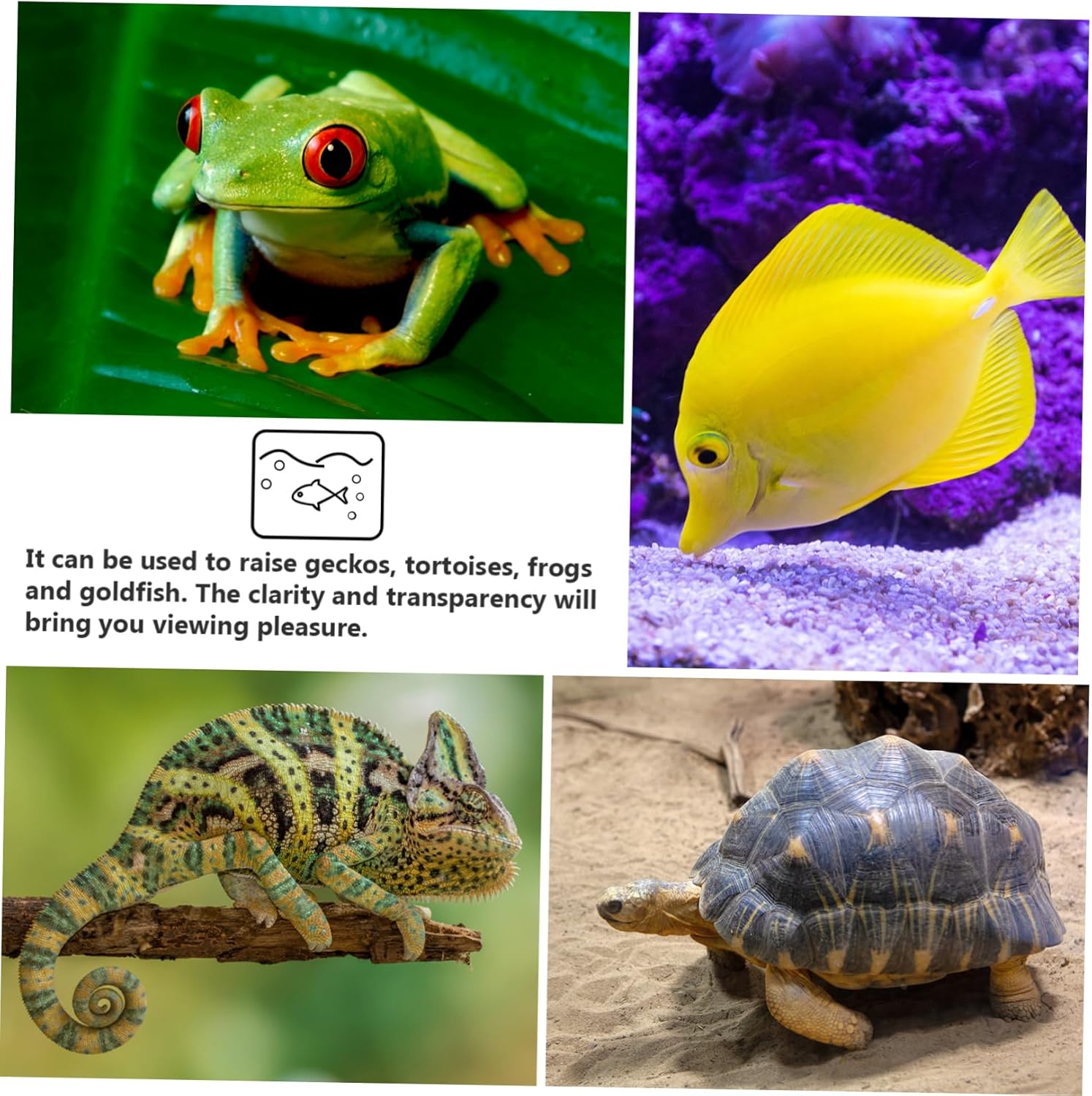 Glass Fish Tank Cube Transparent Eco-Friendly Aquarium for Small Fish Reptiles and Aquatic Plants Durable with Thick Walls and Weighted Base