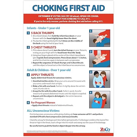 Amazon.com: Choking for Children 18" X 24" Laminated Poster: Prints ...