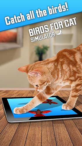 Birds for Cat Simulator