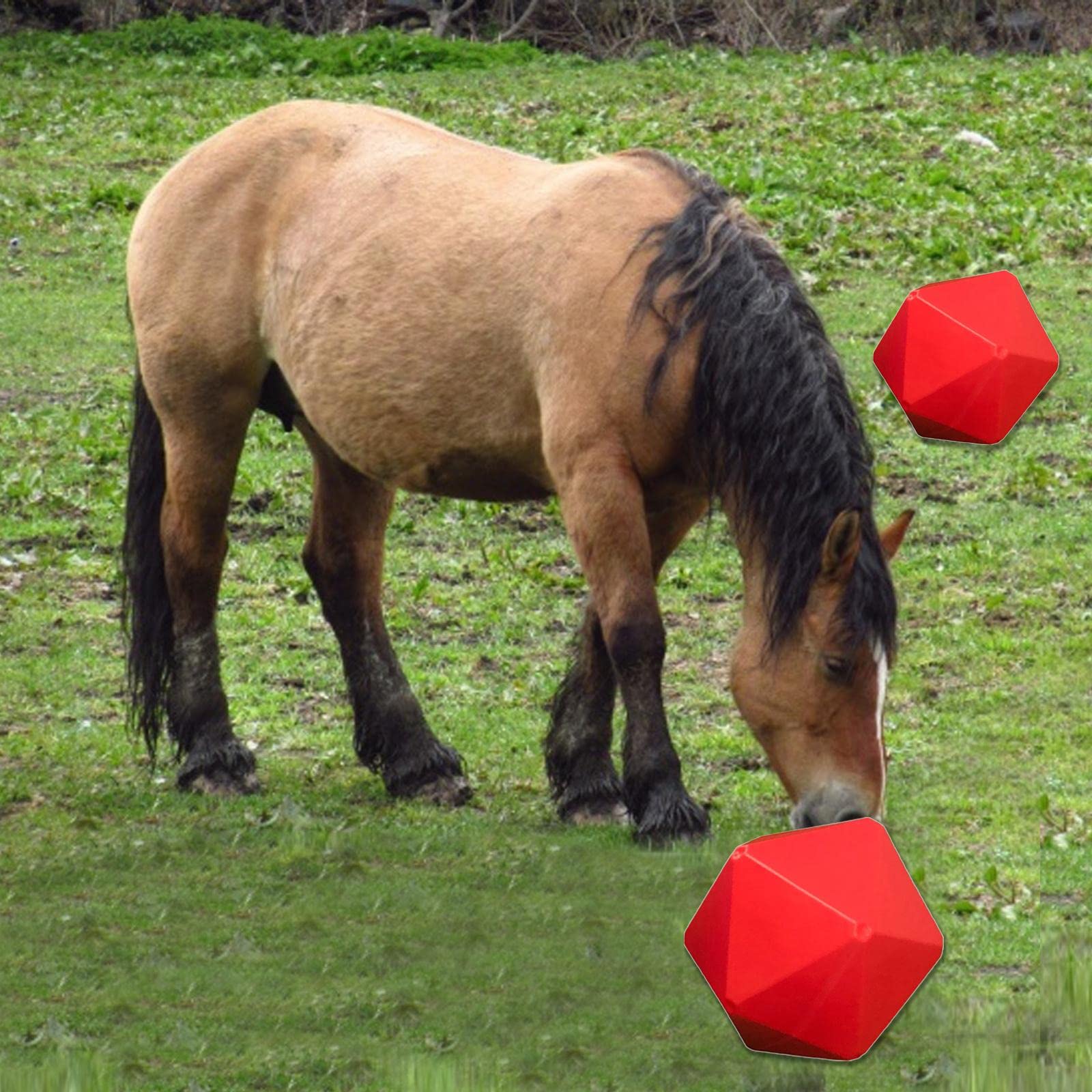 Pelota de regalo para caballos, pony, comedero de heno, juguete Paddock se mantiene para aliviar el estrés, entrenamiento de patio, suministros de alimentación para caballos