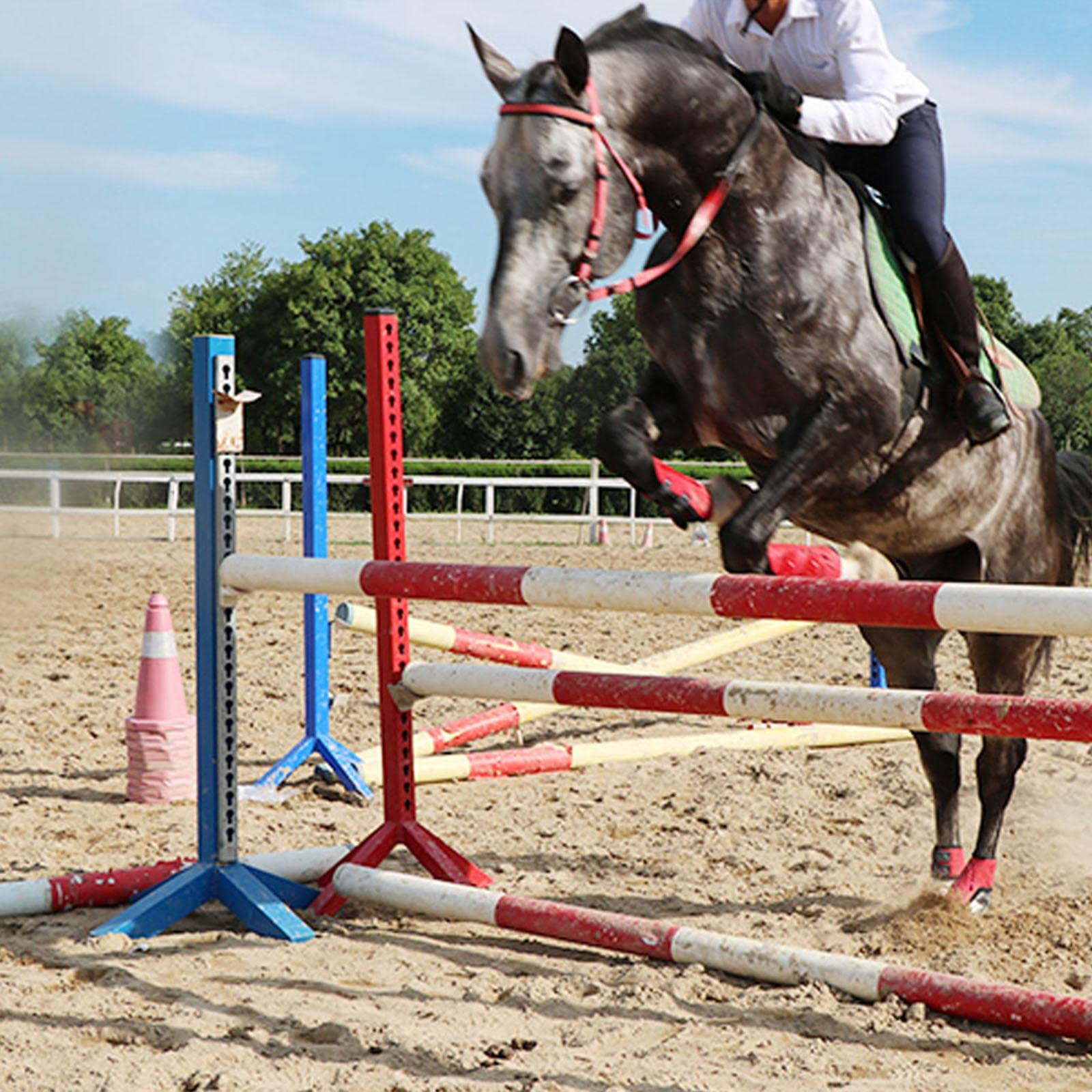 predolo Botas de Férula para Caballos, Juego de Soporte para Piernas Delanteras Y Traseras para Equipo Ecuestre de Equitación