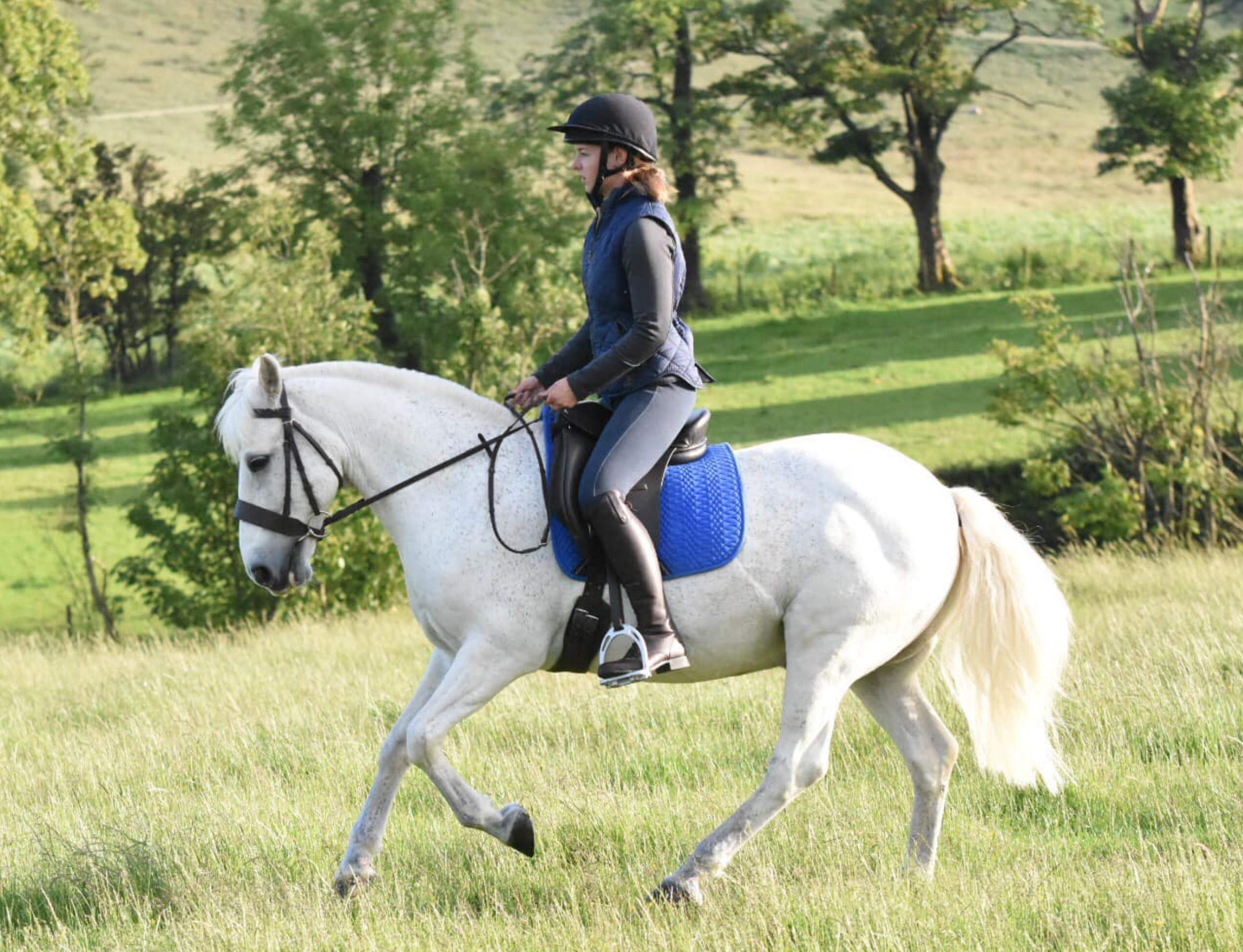 Sella in pelle per dressage/VSD Treeless, Flexi tree, nero o marrone (seduta da 43,2 cm, nero)