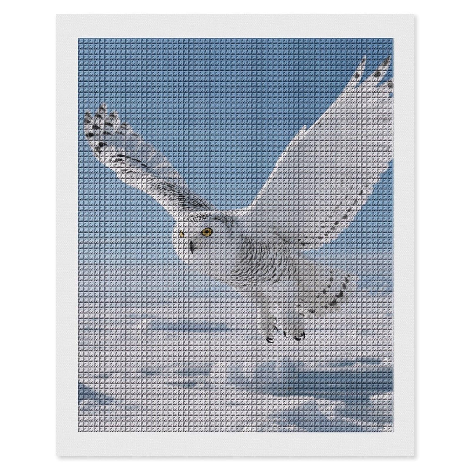 FodPand White Snowy Owl 5D Diamond Painting Kits for Adults Beginners Full Drill Square Diamond Dots Pictures Gem Art Supplies for Home Wall Room Decoration DIY Craft Set Gift 16X20