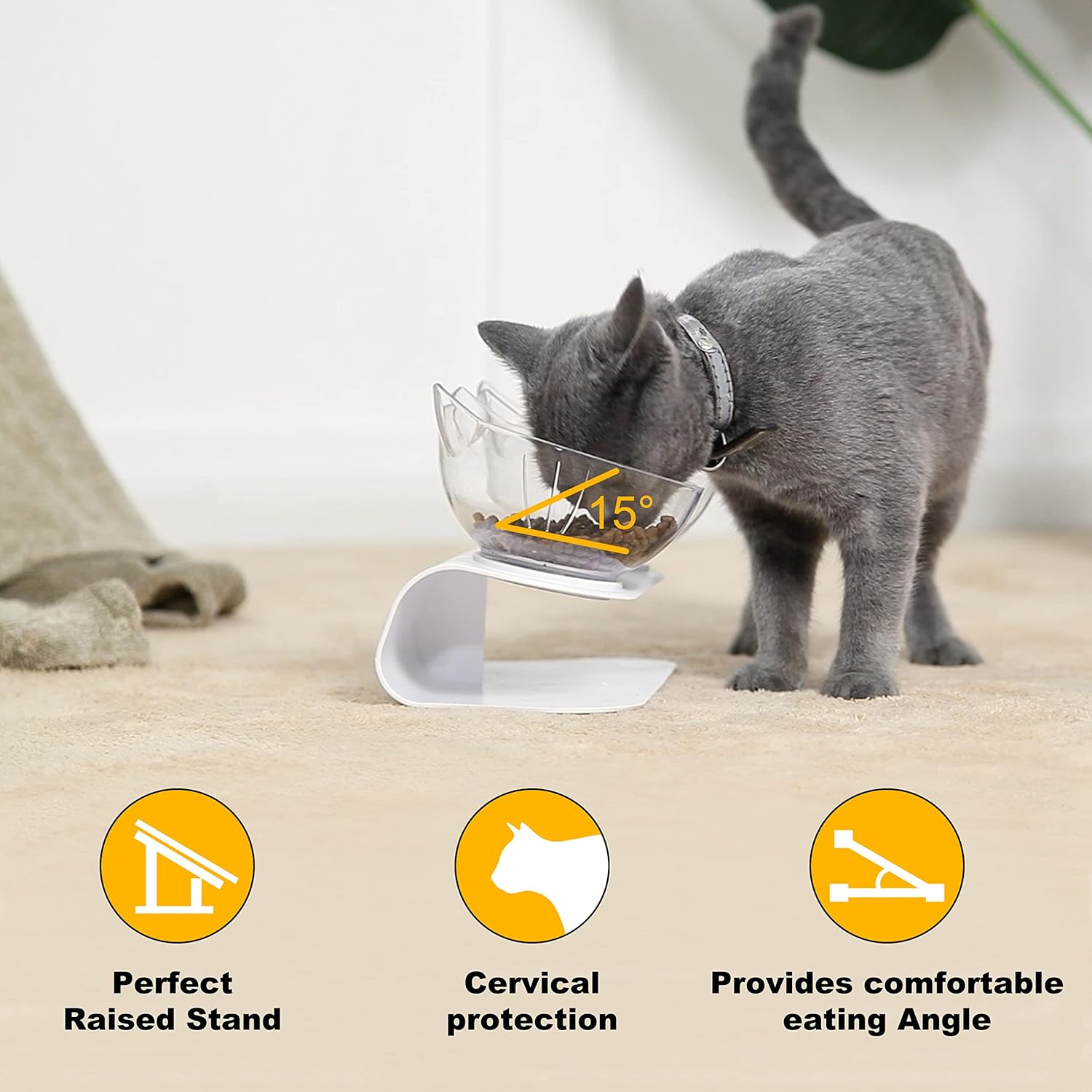 Cat Bowls with Stand Tilted 15° - Raised Cat food bowl with scoop, Anti over-turned and Anti spill Tilted Cat Bowl, Feeding and Water Supplies for Cat 7 81GTPwC2dAL. AC SL1500