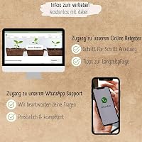 Loveplants Bonsai Kezdőcsomag - 4 Ritka Bonsai Mag Fenntartható Nélkül Műanyag 7
