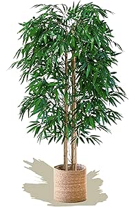 Maia Shop Artificial Bamboo Tree 5FT Tall, Fake Tree with Natural Trunk and Realistic Leaves, Faux Silk Plant Made with The Best Materials, Artificial Tree for Home Decor Indoor, 60 inches