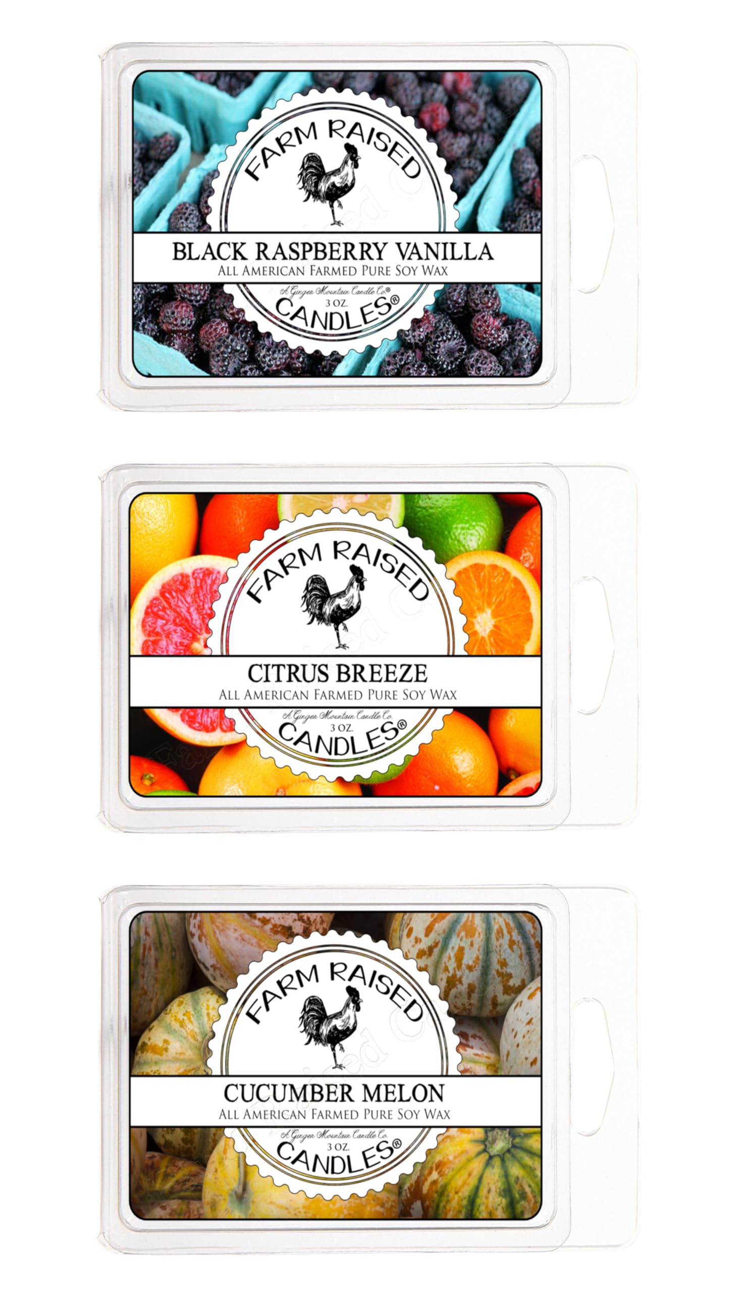 3 Pack Fruity Wax Melts – 9 Oz Total, Soy Candle Cubes In Blue Volcano Citrus, Black Raspberry Vanilla, Cucumber Melon, Made In USA