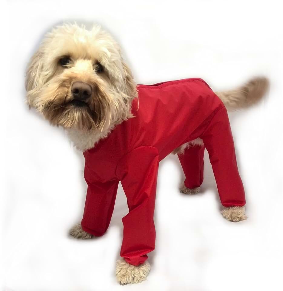 Amazon.co.uk dog suit