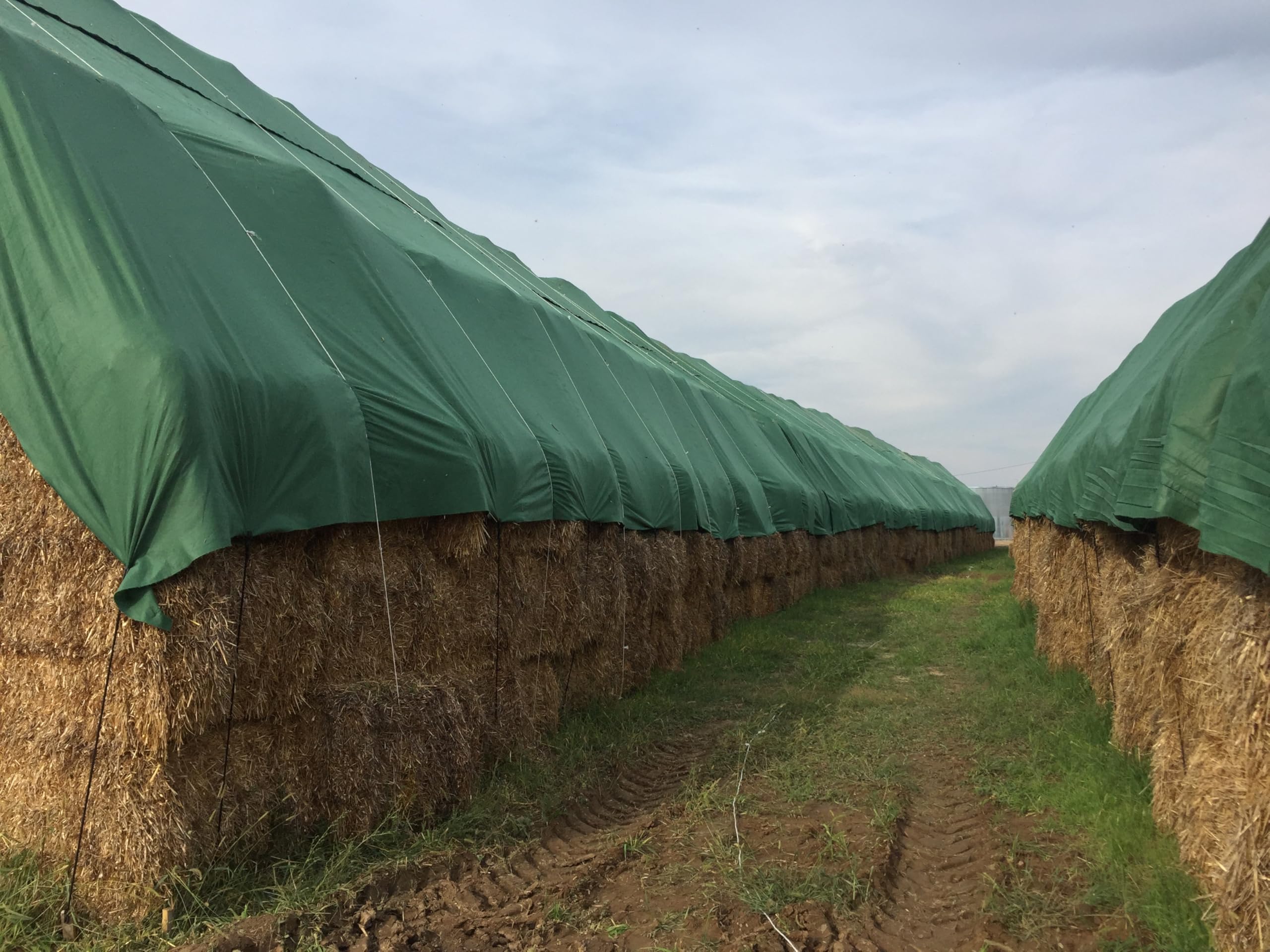 Böck TOPvlies Strohvlies 10,4 x 12,50 m I Stabiles 140 g/m² Schutzvlies I Extrem reißfestes Heuvlies für langfristigen Schutz I Abdeckvlies wetterfest & UV-beständig