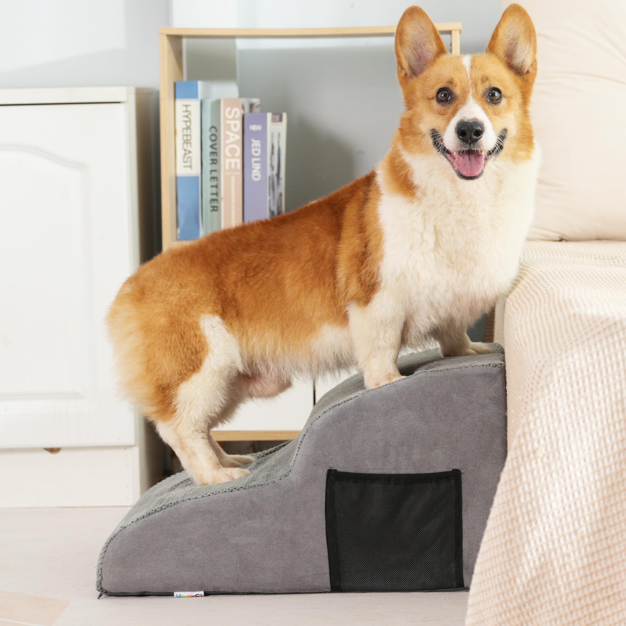 YunNasi Dog Steps Stairs for Bed, Non-Slip Dog Ramp for Sofa, 55 * 40 * 30cm, Puppy Ladder with High Density Foam and Removable Cover, Gentle Slope Stairs for Small Older Injured Pets (2 Steps-Grey)