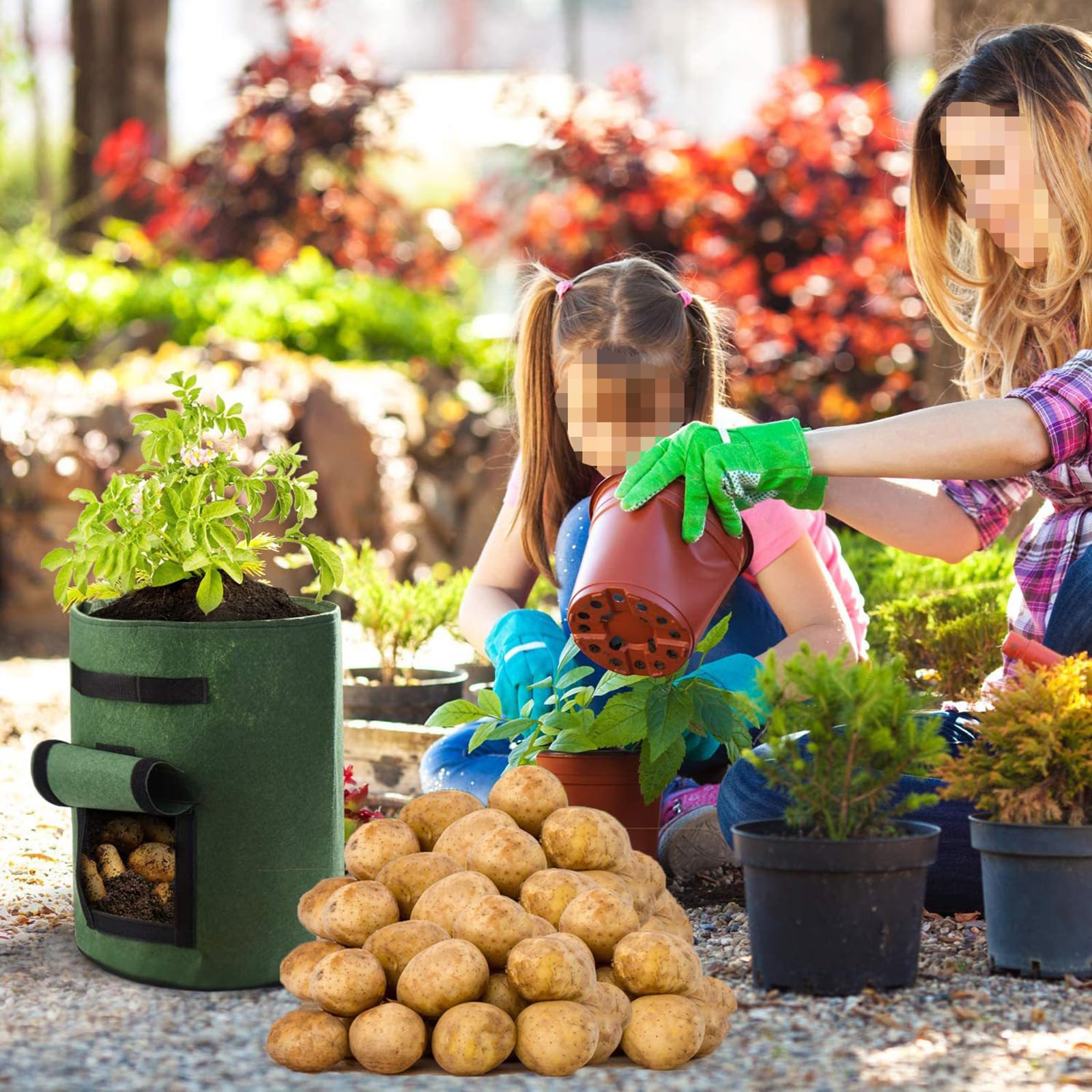 5 Sacchetti Per Coltivazione Patate Da 10 Galloni In Tessuto Non Tessuto 300g - Con Manici Rinforzati E Finestra Di Visualizzazione - Vasi Riutilizzabili Per Orto E Giardino - 3