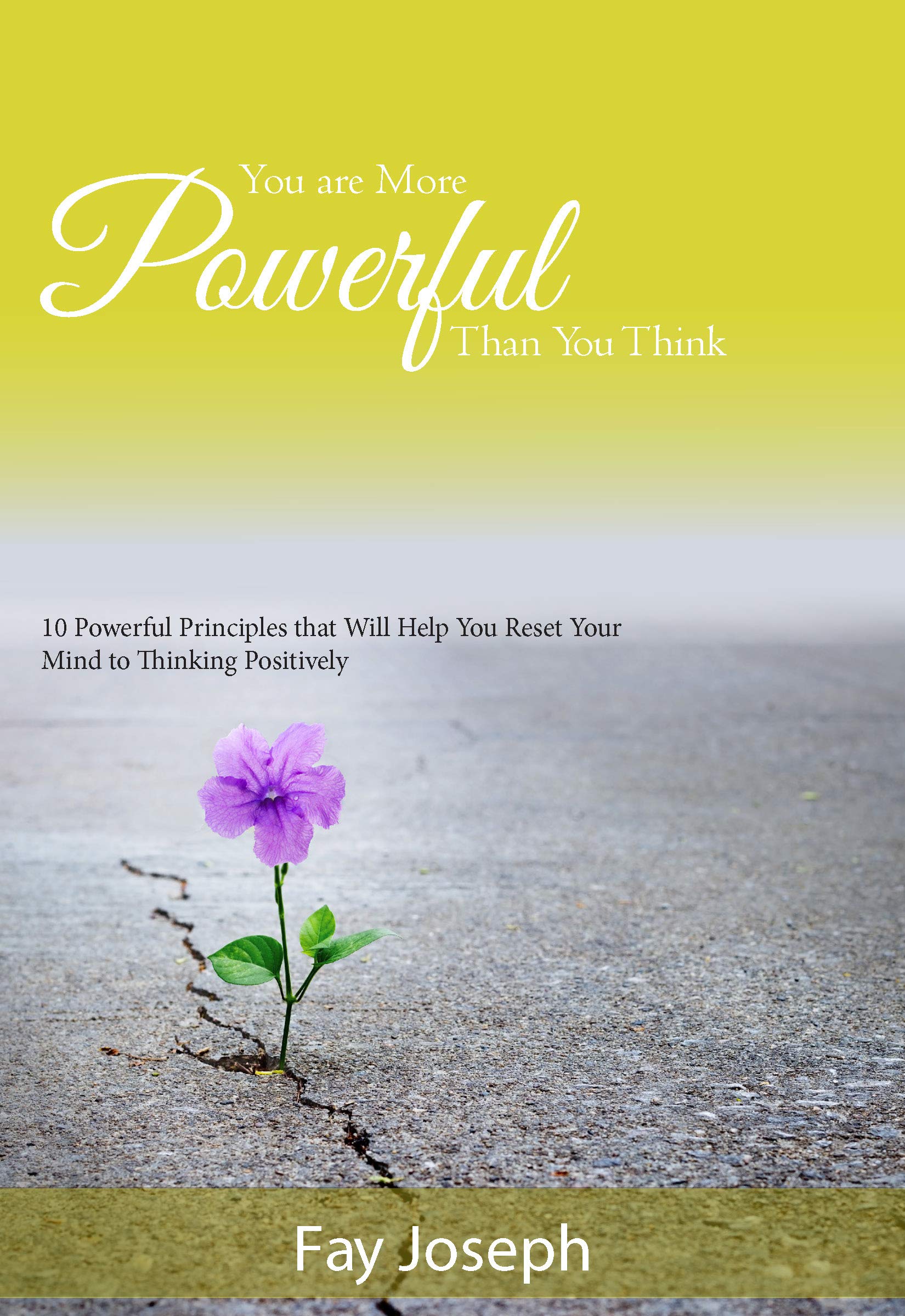 You Are More Powerful Than You Think: 10 Powerful Principles that Will Help You Reset Your Mind to Thinking Positively