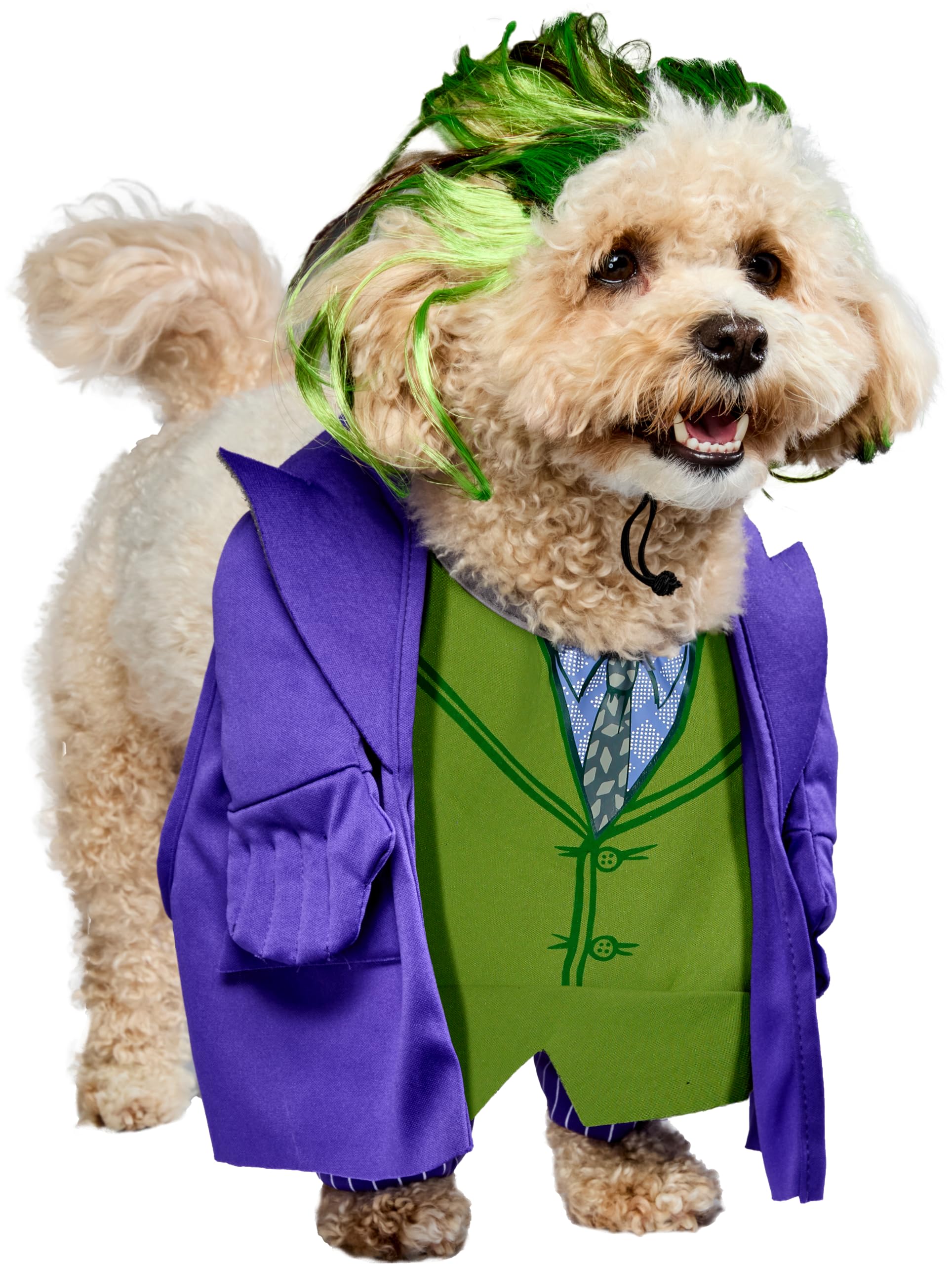 DC Batman The Dark Knight: The Joker Pet Costume for Dogs or Cats by Rubies, Small
