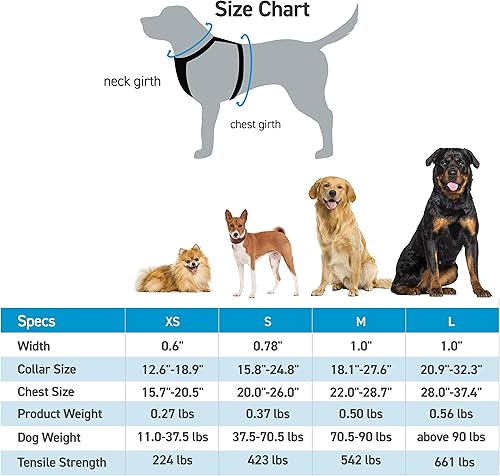 Miniatura 2 de AnyPet Arnés para perro, arnés mediano sin tirones para perros pequeños