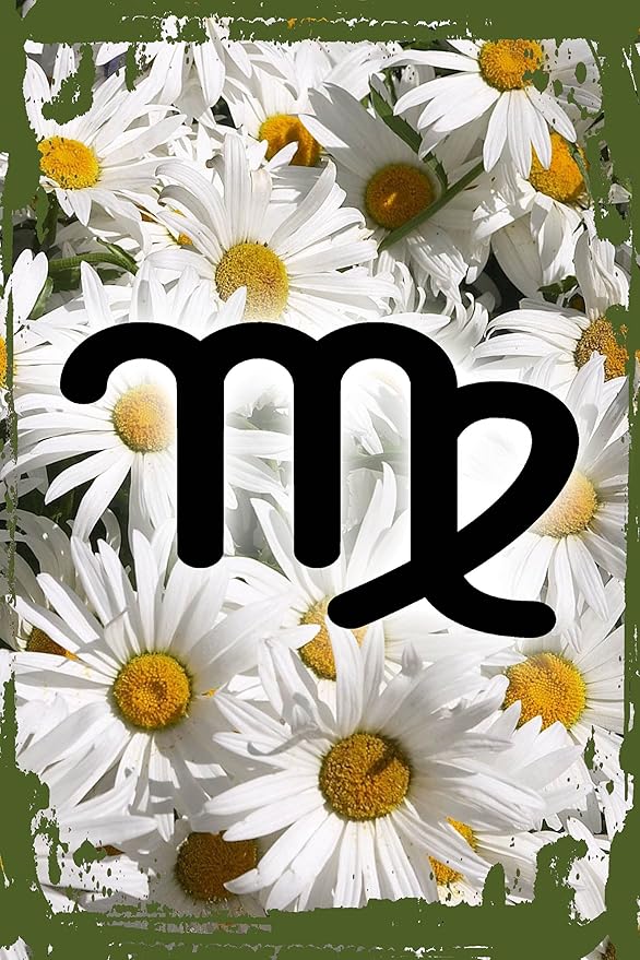 Daisy Flower Funny Sign Virgo the virgin symbol Aug 23-Sept 22 zodiac sign astrology Hanging Wall Sign 8 x 12 Decor Funny Gift