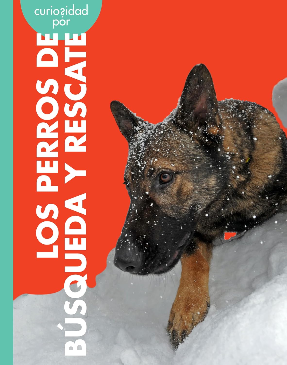 Curiosidad por los perros de búsqueda y rescate (Curiosidad por los perros de trabajo) (Spanish Edition)